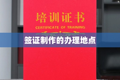 江苏签证制作的办理地点