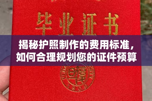 江苏揭秘护照制作的费用标准，如何合理规划您的证件预算