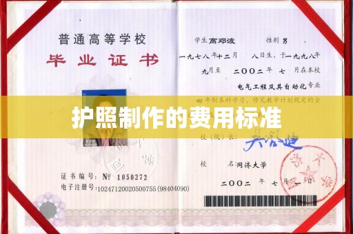 江苏护照制作的费用标准