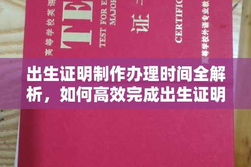 江苏出生证明制作办理时间全解析，如何高效完成出生证明申请？