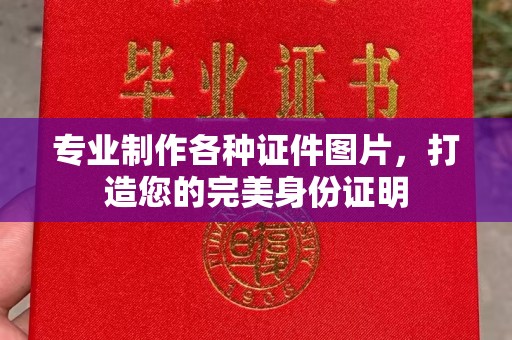 江苏专业制作各种证件图片，打造您的完美身份证明