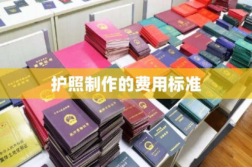 江苏护照制作的费用标准